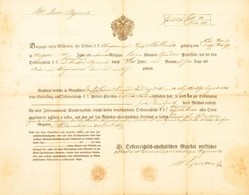 1867 Katonai Végelbocsájtó Levél, Obsit Magyar Katona Részére 49x38 Cm - Altri & Non Classificati