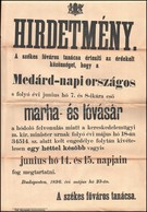 1896 Medárd Napi Országos Marha- és Lóvásár Hirdetménye. Budapest. 30x42 Cm - Sin Clasificación