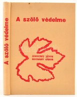 Lehoczky János-Reichart Gábor: A Szőlő Védelme. Bp.,1968, Mezőgazdasági. Kiadói Egészvászon-kötés. - Non Classés