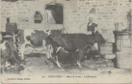 FINISTERE - SCENE DE FERME - A L'ABREUVOIR -  ANNEE 1916 - Granja