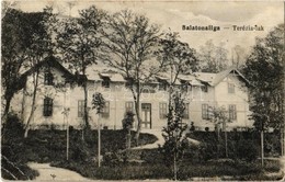 T2/T3 1917 Balatonaliga (Balatonvilágos), Terézia Lak, Villa. Kiadja Novák Jenő (EK) - Zonder Classificatie