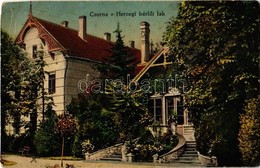 * T4 1917 Csorna, Hercegi Bérlői Lak, Villa, Kastély. Martincsevics Károly (vágott / Cut) - Zonder Classificatie