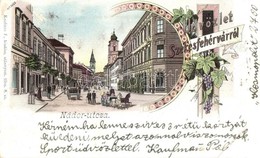 T2/T3 1899 Székesfehérvár, Nádor Utca, Café Elite Kávéház, Szőlő. Kaufman F. Kiadása. Art Nouveau, Floral, Litho (Rb) - Non Classés