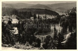 * T2 Borszék, Borsec; Borszék-fürdő, Landscape With Trees - Ohne Zuordnung