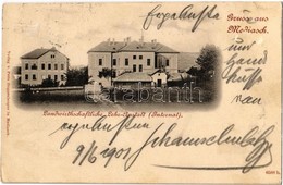 T2/T3 1901 Medgyes, Mediasch, Medias; Landwirtschaftliche Lehr-Anstalt (Internat) / Gazdászati Iskola / Agricultural Sch - Non Classés