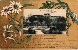 T2 1901 Nagyszeben, Hermannstadt, Sibiu; Erlenpark Mit Garnisons-Spital / Osztrák-magyar Helyőrségi Kórház / Austro-Hung - Non Classés