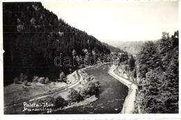 T2 Palotailva, Lunca Bradului; Marosvölgy / Valley With River - Zonder Classificatie