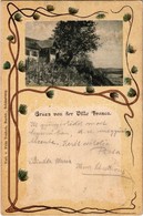 T2 1901 Segesvár, Schässburg, Sighisoara; Villa Franca. Fritz Teutsch Art Nouveau, Litho - Zonder Classificatie