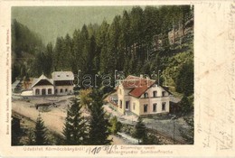 T2 1910 Körmöcbánya, Kremnica; Zólyomvölgyi Nyaraló. Kiadja Braun Ármin / Villa - Zonder Classificatie