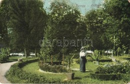 T3 1914 Eszék, Essegg, Osijek; Park, Sétány / Garden, Promenade (kopott Sarkak / Worn Corners) - Ohne Zuordnung