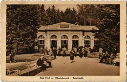 T2 1929 Bad Hall, Oberösterreich, Trinkhalle / Drinking Hall - Zonder Classificatie