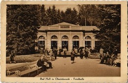 T2 1929 Bad Hall, Oberösterreich, Trinkhalle / Drinking Hall - Sin Clasificación