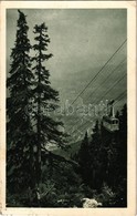 T2 1928 Reichenau An Der Rax, Raxbahn, An Der Grenze Des Bergwaldes / Cable Car, Mountain Forest + 'Oesterr. Bergbahnen  - Unclassified