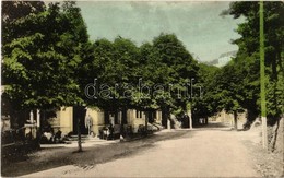 ** T2/T3 Rosenburg, Rosenburg-Mold; Street View With Shop. Rudolf Brandstetter Kaufmann (EK) - Ohne Zuordnung