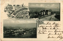 T2/T3 1900 Wartmannstetten, General View, Villa. Julius Seiser. Art Nouveau, Floral (EK) - Zonder Classificatie