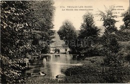 ** T2 Veules-les-Roses, Le Moulin Des Cressonnieres / Watermill - Zonder Classificatie