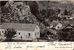 T3 1902 Wiesenbach,  General View. Fotogr. Menschick (szakadás / Tear) - Zonder Classificatie