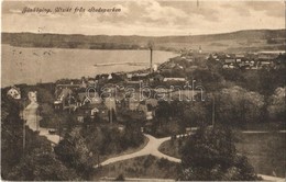 T2 1921 Jönköping, Utsikt Fran Stadsparken / General View - Unclassified