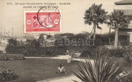 * T2/T3 1919 Dakar, Jardin De L'Hotel De Ville / Hotel, Garden (fl) - Ohne Zuordnung