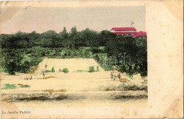 T2/T3 1907 Dakar, Le Jardin Public / Public Garden (EK) - Non Classés