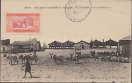 T2 1916 Dakar, Les Abattoirs / Slaughterhouses, Cattle. TCV Card - Non Classés