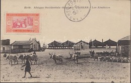 T2 1916 Dakar, Les Abattoirs / Slaughterhouses, Cattle. TCV Card - Sin Clasificación