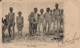 T2/T3 1908 Dakar, Groupe D'Enfants Ouloffs / Ouoloff Children, Senegalese Folklore (EK) - Zonder Classificatie