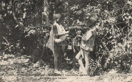 ** T1/T2 Haute-Guinée, Cueillette Du Caoutchouc, Saignéé Des Lianes / Upper Guinea, Harvest Of The Rubber Tree, Children - Non Classificati
