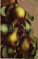 T2 Pears. Ballerini & Fratini 395. - Zonder Classificatie