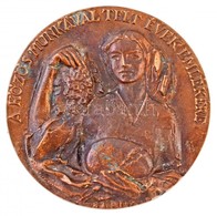 Bajnok Béla (1937- ) DN 'A Közös Munkával Telt évek Emlékére' Br Emlékplakett (96mm) T:2 - Non Classificati