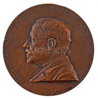 Beck Ötvös Fülöp (1873-1945) 1901. 'Korányi Frigyes Doktorrá Avatásának 50. évfordulója' Br Emlékérem. 'FRIDERICO KORÁNY - Ohne Zuordnung