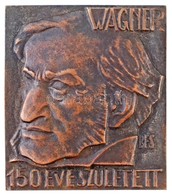 Boldogfai Farkas Sándor (1907-1970) 1963. 'Wagner 150 éve Született' Br Emlékplakett (50x57mm) T:2 - Zonder Classificatie