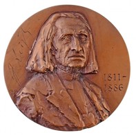 Gáti Gábor (1937- ) 1985. 'Liszt Ferenc 1811-1886' Br Emlékplakett (100mm) T:1-
Hungary 1985. 'Ferenc Liszt 1811-1886' B - Unclassified