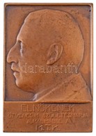 Szentgyörgyi István (1881-1939) 1928. 'Elnökének (Brüll Alfréd) ötvenedik Születésnapja Alkalmából A M.T.K.' Br Emlékpla - Non Classés