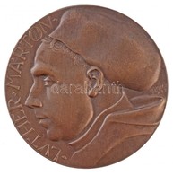 Tóth Gyula (1893-1970) 1917. 'Luther Márton' Egyoldalas, öntött Br Plakett (79mm) T:1-
HP.: 6269.variáns - Ohne Zuordnung