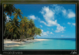 Maldives - Tropical Paradise - Moderne Grand Format - Bon état Général - Maldive