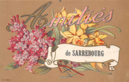 57-SARREBOURG- AMITIES - Sarrebourg