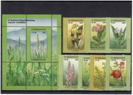 Uzbekistan 2002.Flowers. 7v +S/S: 45,50,60,70,85,90,145,+175 .  Michel # 434-40 - Uzbekistán