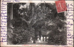 La Reunion, St Denis, Une Allee Du Jardin Colonial - Saint Denis