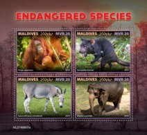 Maldives. 2019 Endangered Species. (0607a)  OFFICIAL ISSUE - Chimpancés