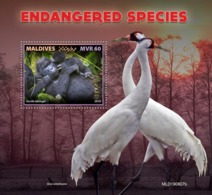 Maldives. 2019 Endangered Species. (0607b)  OFFICIAL ISSUE - Gorilas