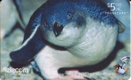 NUEVA ZELANDA. NZ-C-107. Blue Penguin. (015) - Pingueinos
