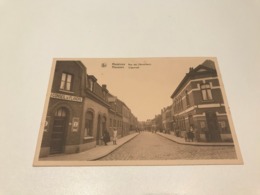 Mesen - MESSINES - Rue Des Rémouleurs - Slijpstraat - Ed. Caignie - Conseil De Flandre - Mesen