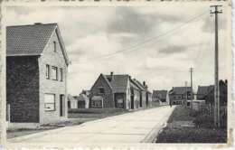 Loppem    St-Martinusstraat. - Zedelgem