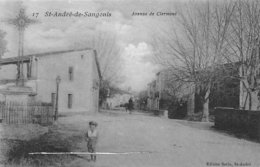 17 Avenue De Clermont - Saint-André-de-Sangonis - Gignac