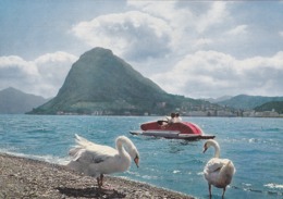 SUISSE,SWITZERLAND,SWISS, HELVETIA,SCHWEIZ ,TESSIN,TICINO,LUGANO,PEDALO,CYGNE,RARE - Lugano