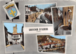 13-AURIOL- MULTIVUES - Auriol