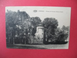 Carte   Herzele  Ruines De L'ancien Château Féodal - Herzele