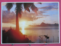 Polynésie Française - Soleil Couchant Sur Moorea - Scans Recto-verso - Tahiti