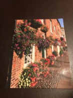 Bosworth In Bloom In The Market Place, Market Bosworth , Leicestershire - Andere & Zonder Classificatie